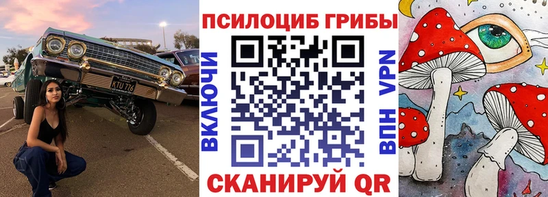 Галлюциногенные грибы прущие грибы Почеп