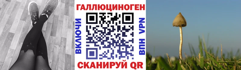 Псилоцибиновые грибы ЛСД  Почеп 